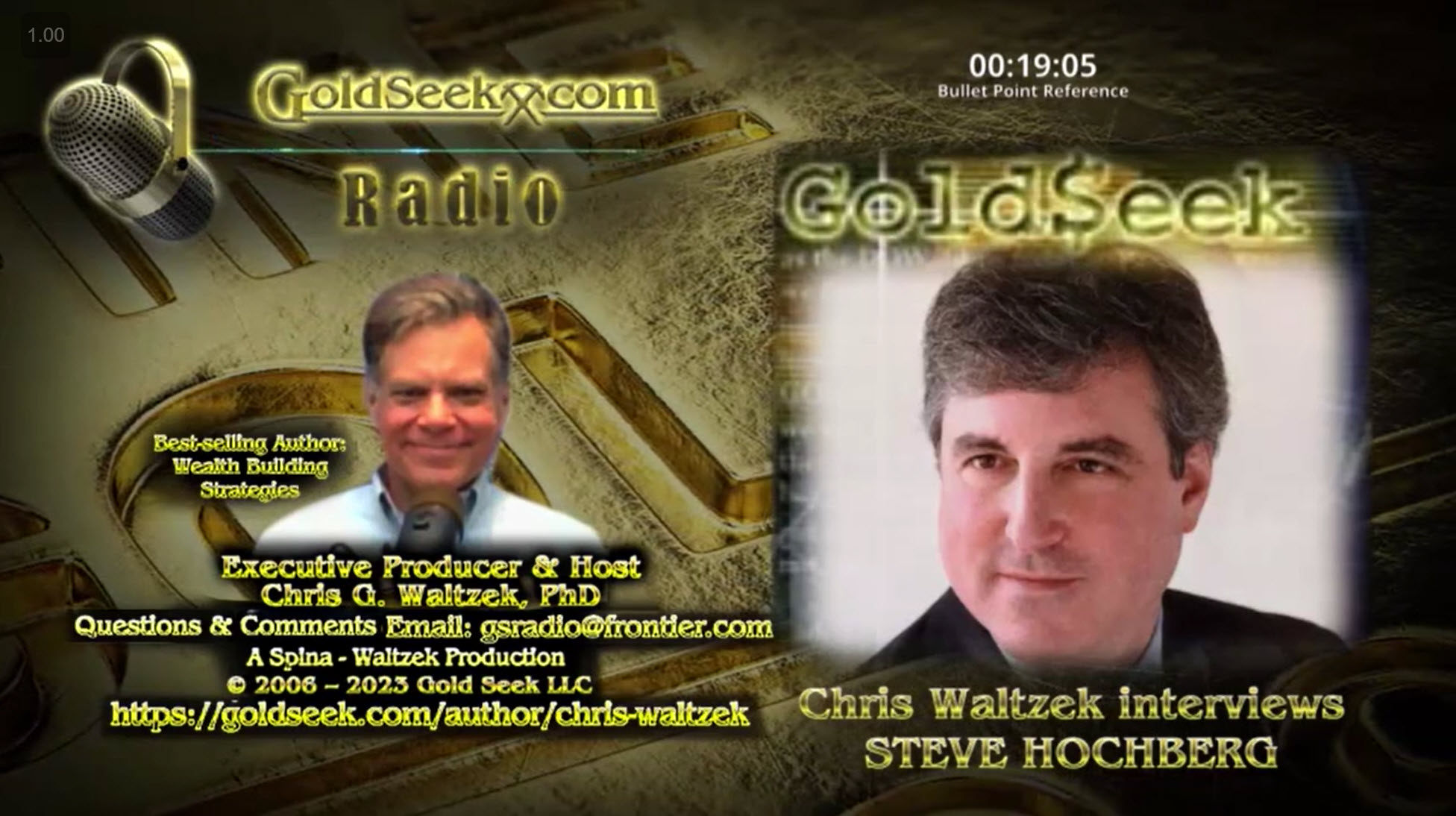GoldSeek Radio Nugget - Steven Hochberg Recommends Owning Gold and Junk ...