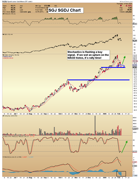 image-20260208100907-8