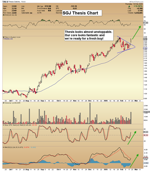 image-20260222202421-8