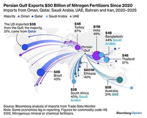 image-20260314162617-5