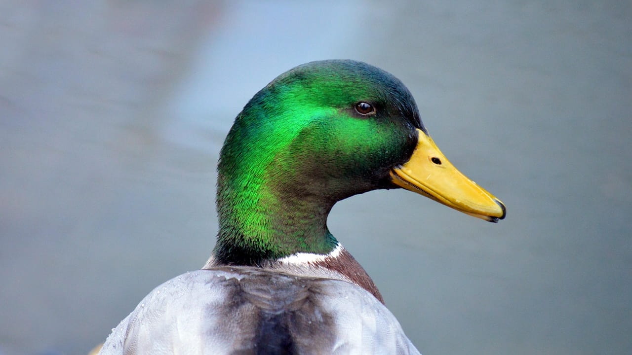 image-20260316094133-1