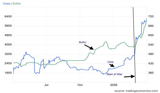 image-20260406134304-2