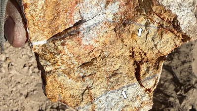 image-20261022210801-2