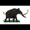 Profile picture for user Black Mammoth Metals Corp.