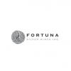 Profile picture for user Fortuna Silver Mines Inc.